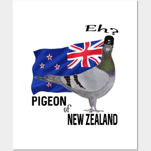 Pigeon of New Zealand Posters and Art